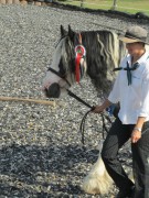 2011 0201 mulberryranch