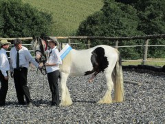 2011 0201 mulberryranch