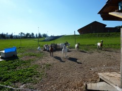 2011 004 mulberryranch