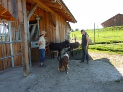 2011 004 mulberryranch