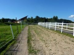 2011 004 mulberryranch