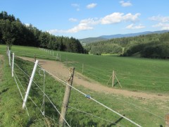 2011 004 mulberryranch