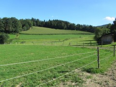 2011 004 mulberryranch