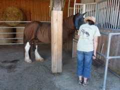 2011 004 mulberryranch