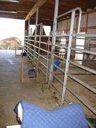 2009 001 Schmieh Juni