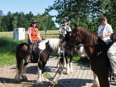 2009 003 Schmieh Juni