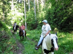 2009 004 Schmieh Juni