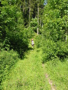 2009 005 Schmieh Juni