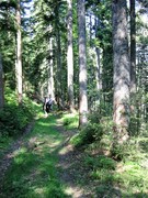 2009 006 Schmieh Juni