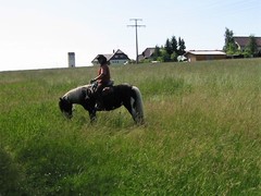 2009 008 Schmieh Juni