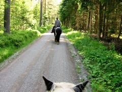 2009 010 Schmieh Juni