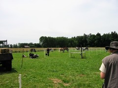 2009 011 Schmieh Juni