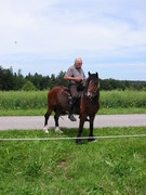 2009 016 Schmieh Juni