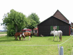 2009 023 Schmieh Juni