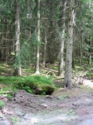 2009 024 Schmieh Juni