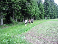 2009 025 Schmieh Juni