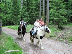 2009 026 Schmieh Juni