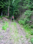 2009 027 Schmieh Juni