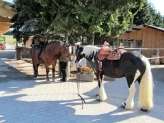 2011 001 Schmieh Juni