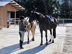 2011 002 Schmieh Juni