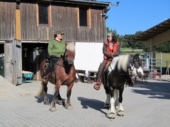 2011 003 Schmieh Juni