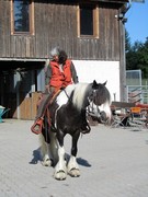 2011 005 Schmieh Juni