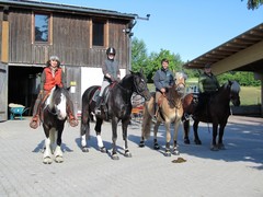 2011 006 Schmieh Juni