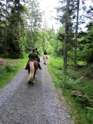 2011 007 Schmieh Juni