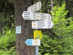 2011 008 Schmieh Juni