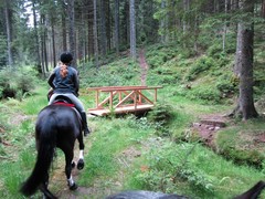 2011 009 Schmieh Juni