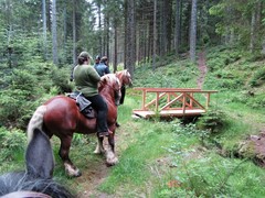 2011 010 Schmieh Juni