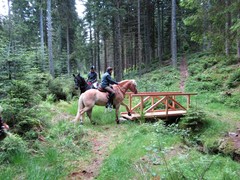 2011 011 Schmieh Juni