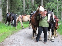 2011 012 Schmieh Juni