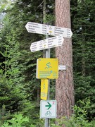 2011 013 Schmieh Juni