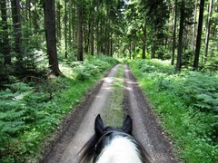 2011 014 Schmieh Juni