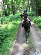 2011 015 Schmieh Juni