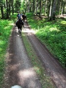 2011 016 Schmieh Juni