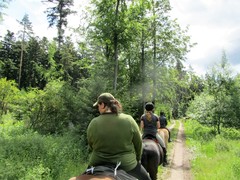 2011 017 Schmieh Juni