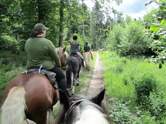 2011 018 Schmieh Juni