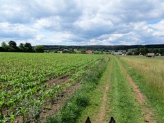 2011 019 Schmieh Juni