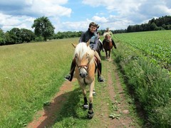 2011 021 Schmieh Juni