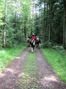 2011 022 Schmieh Juni