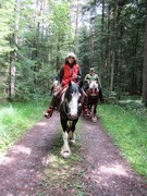 2011 023 Schmieh Juni