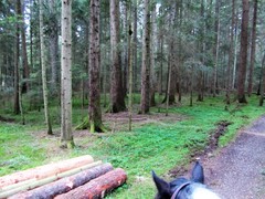 2011 024 Schmieh Juni