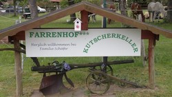 2011 025 schmieh juni