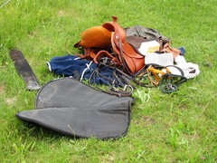 2011 027 schmieh juni