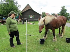 2011 029 schmieh juni