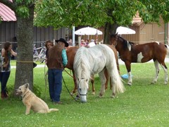 2011 030 schmieh juni