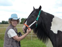 2011 033 schmieh juni