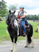 2011 042 schmieh juni